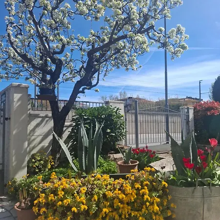 Lejlighed Casa Del Miglio Riccione