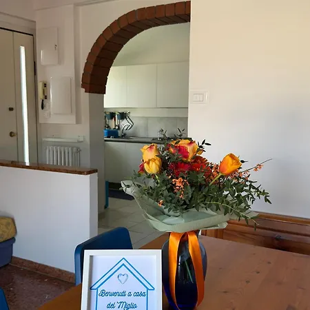 Casa Del Miglio * Riccione